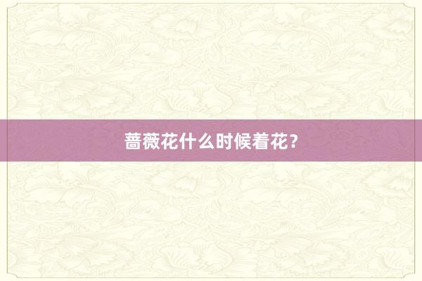 蔷薇花什么时候着花?