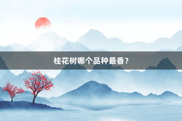 桂花树哪个品种最香?
