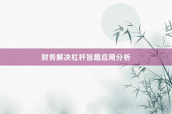 财务解决杠杆旨趣应用分析